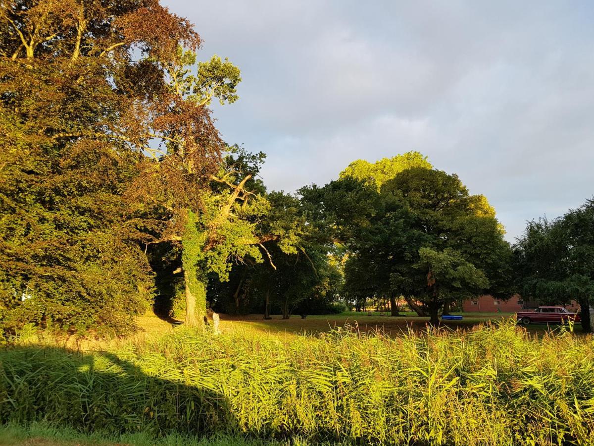 Johannes Hof Bunde  Exteriör bild